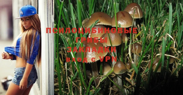 соль курить ск Аркадак