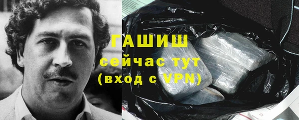 крисы Армянск