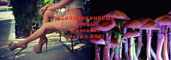 крисы Армянск